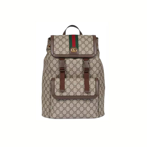 [스페셜오더]GUCCI-792114 9794 구찌 오피디아 스몰 GG 백팩